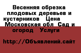 Весенняя обрезка плодовых деревьев и кустарников › Цена ­ 500 - Московская обл. Сад и огород » Услуги   
